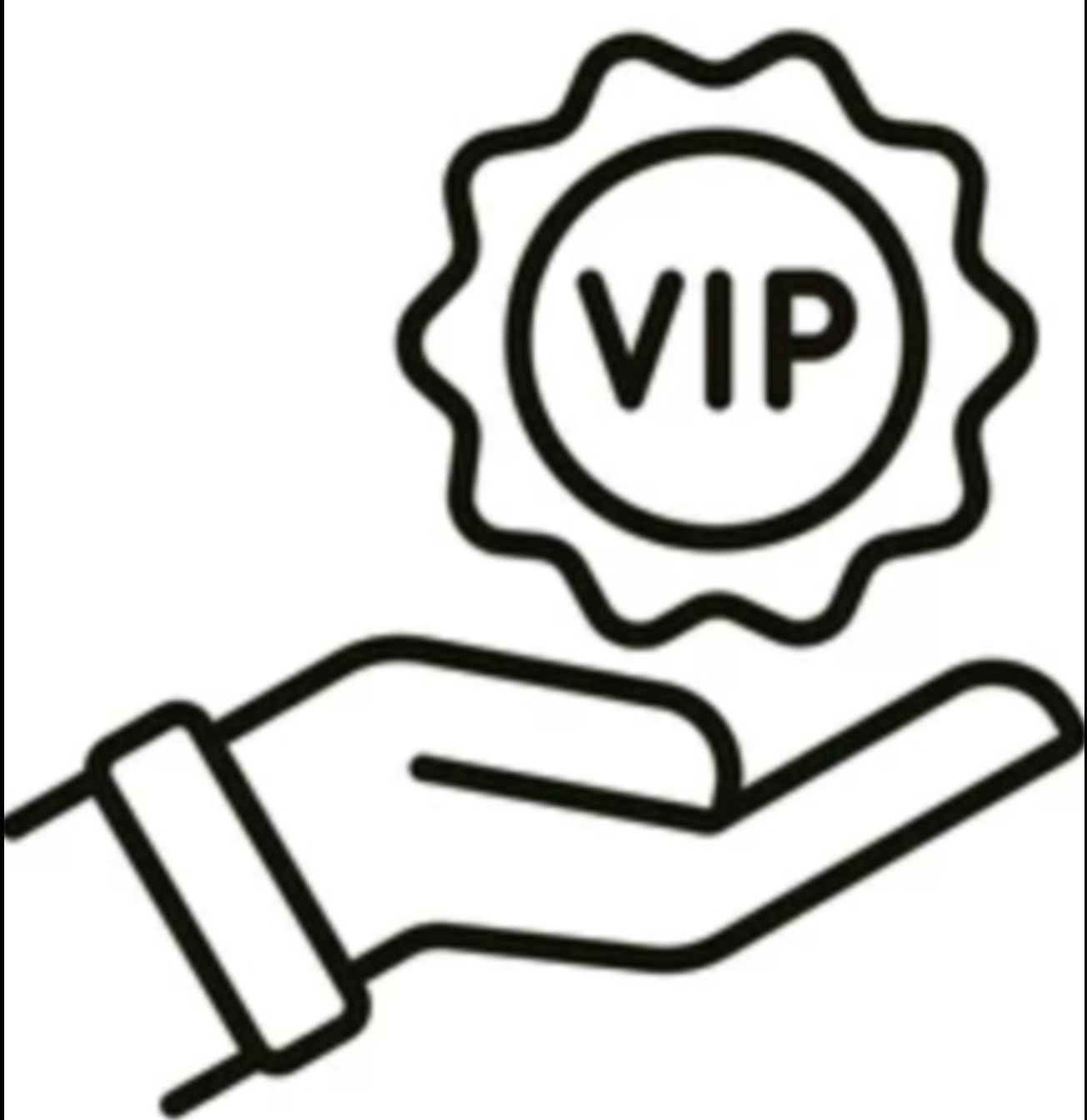 V.I.P Support